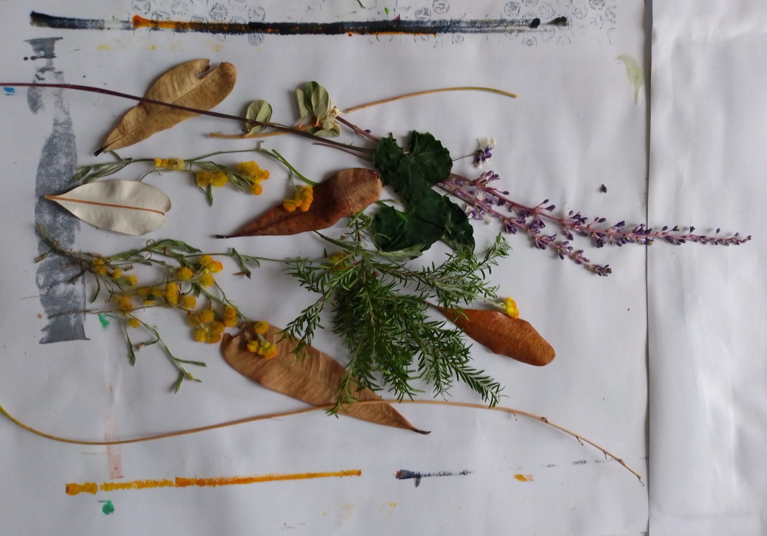 nature as mark-making tools - CSRoth